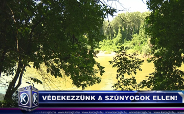 Védekezzünk a szúnyogok ellen