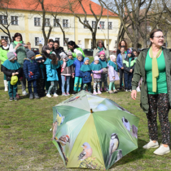 Tavaszköszöntő flashmob