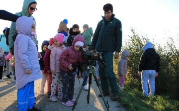 DARULESEN AZ ÓVODÁSOK