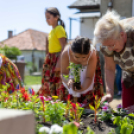 Emlékpark Farkas Zoltánné Rózsika néni tiszteletére