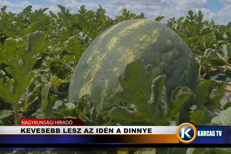 KEVESEBB LESZ AZ IDÉN A DINNYE  
