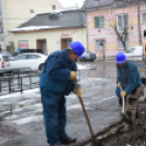 Karcag zöldfelületeinek fejlesztése