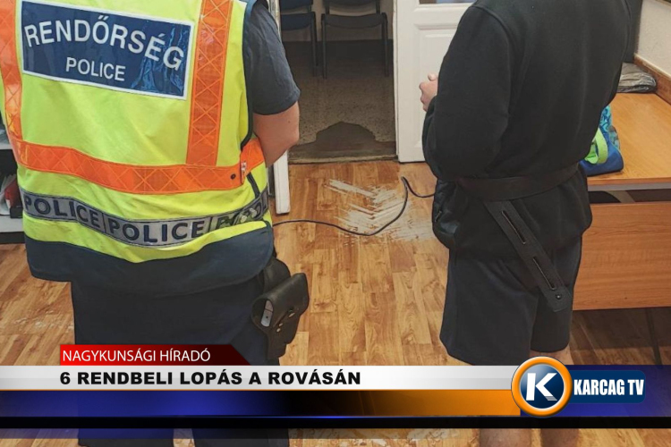 6 RENDBELI LOPÁS A ROVÁSÁN