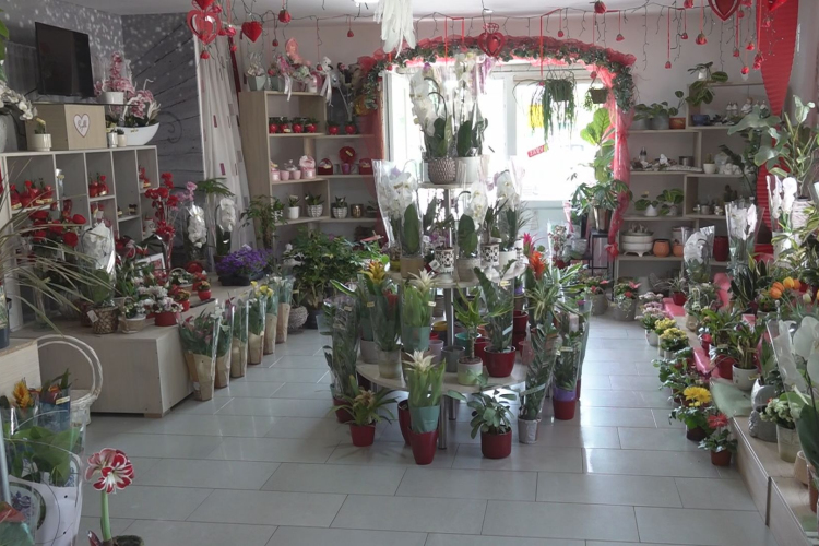 KÉSZÜLNEK A VIRÁGBOLTOK A BALLAGÁSRA