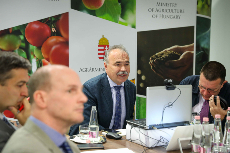 Ismételten közösen lépnek fel az ukrán import ellen a közép-európai országok agrárminiszterei