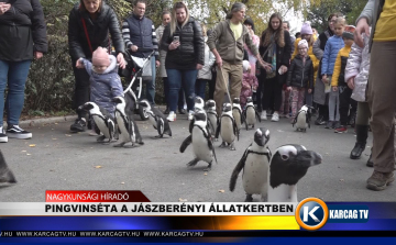 PINGVINSÉTA A JÁSZBERÉNYI ÁLLATKERTBEN 