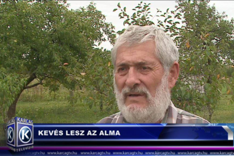 KEVÉS LESZ AZ ALMA