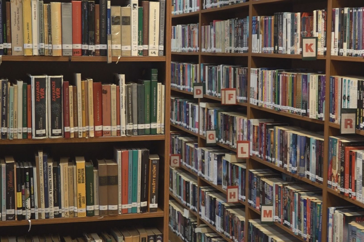 MOZGALMAS ÉVET ZÁRT A KÖNYVTÁR