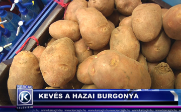 KEVÉS A HAZAI BURGONYA