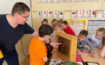 Az 1.b osztály a májusi méhecskékkel zümmögött!