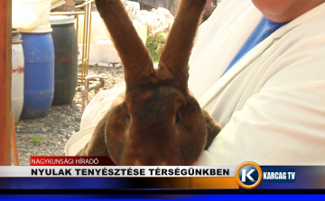 NYULAK TENYÉSZTÉSE TÉRSÉGÜNKBEN