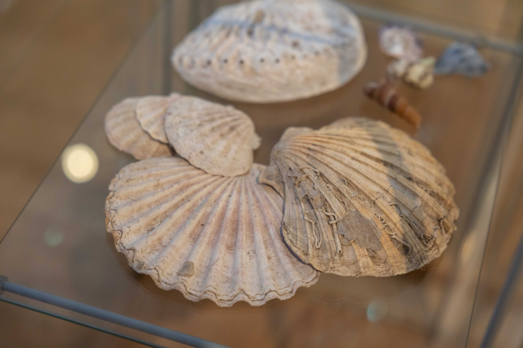 Munkácsy fürdőzik kiállítás