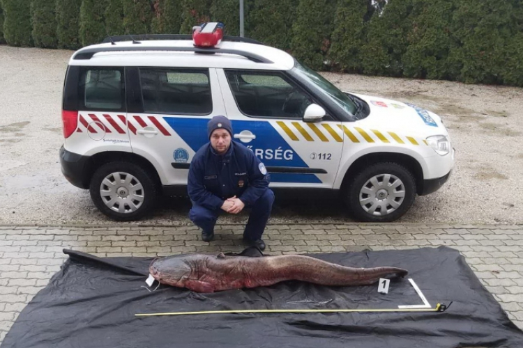 A tiszai vízirendészeti rendőrkapitányság munkatársai tetten érték a feltételezett elkövetőket