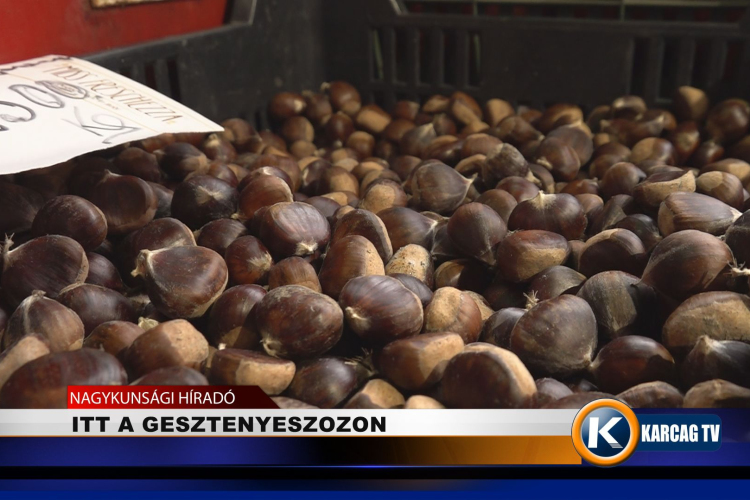 ITT A GESZTENYESZEZON
