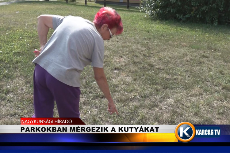 PARKOKBAN MÉRGEZIK A KUTYÁKAT