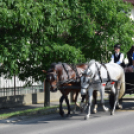 A Szentannai Középiskola ballagása