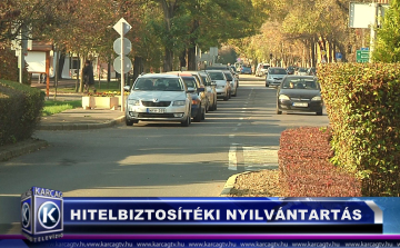 : HITELBIZTOSÍTÉKI NYILVÁNTARTÁS