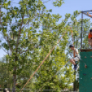 Családi nap és traktoros ügyességi verseny