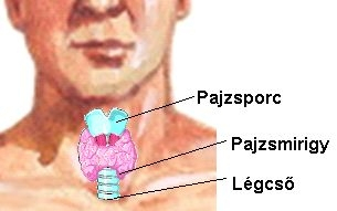 Más kezelést igényelhetnek télen a pajzsmirigy betegek