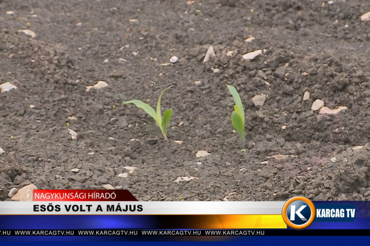 ESŐS VOLT A MÁJUS