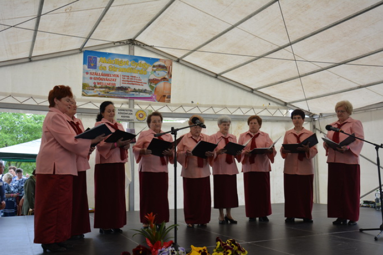 Országos Nyugdíjas Művészeti Fesztivált