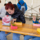 Családi nap az Erzsébet ligetben