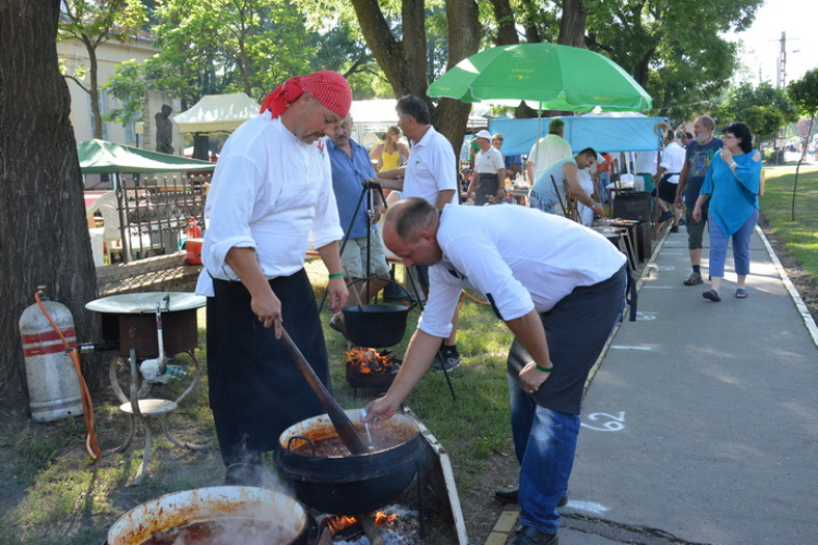 XIX. Karcagi Birkafőző Fesztivál