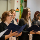 Idősek Napja a Zöldfa úti Idősek Otthonában