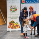 Legszebb Konyhakertek díjátadó