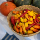 Magyarország Legszebb Konyhakertjei országos díjátadó