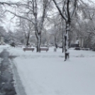 Városi ünnepség hóesésben, 2013. március 15-én