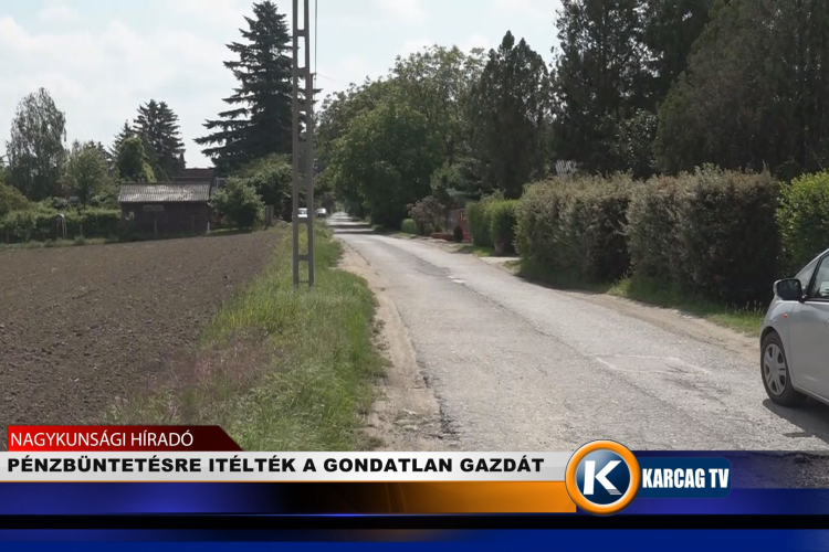 PÉNZBÜNTETÉSRE ITÉLTÉK A GONDATLAN GAZDÁT 