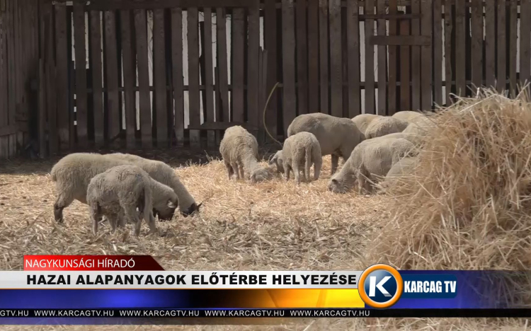 HAZAI ALAPANYAGOK ELŐTÉRBE HELYEZÉSE