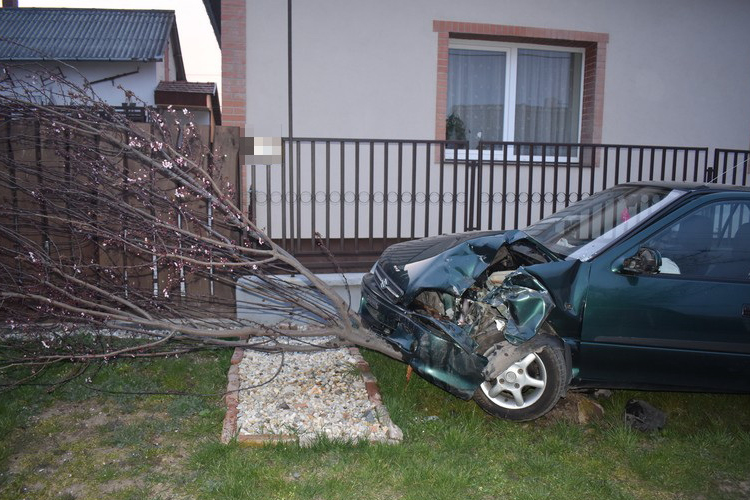 HÍREK JÁSZ-NAGYKUN-SZOLNOK VÁRMEGYÉBŐL 