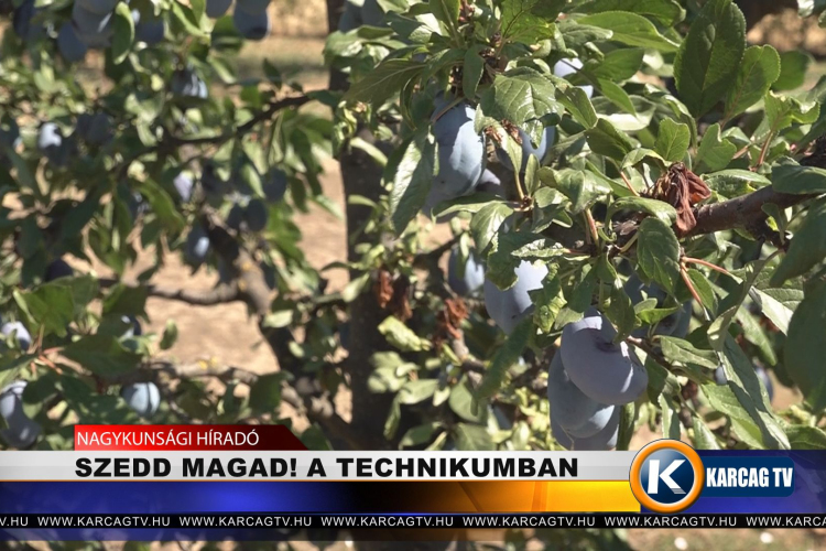 SZEDD MAGAD! A TECHNIKUMBAN