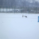 40 éves a Hortobágyi Nemzeti Park