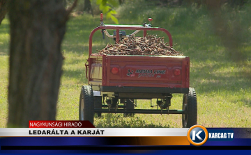 LEDARÁLTA A KARJÁT