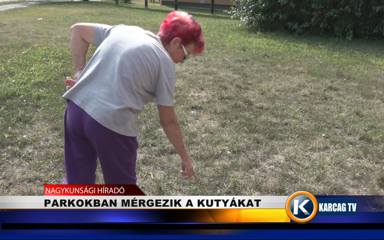 PARKOKBAN MÉRGEZIK A KUTYÁKAT