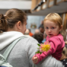 Legszebb Konyhakertek díjátadó