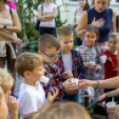 Fecskevató a Györffyben
