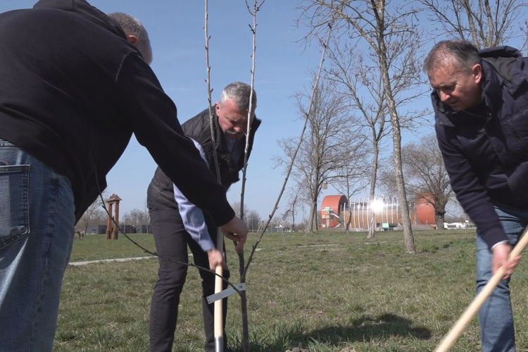 MEGKEZDŐDÖTT A FAÜLTETÉSI SZEZON