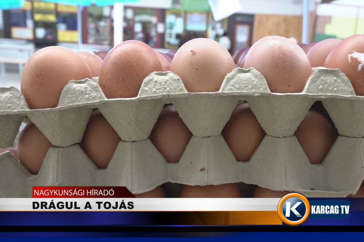 DRÁGUL A TOJÁS