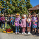 Fecskevató a Györffyben