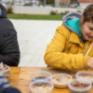 Traktoros ügyességi verseny