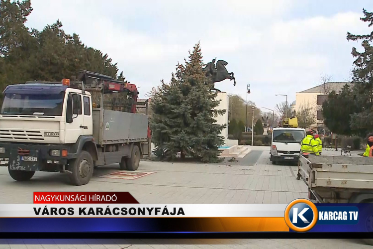 A VÁROS KARÁCSONYFÁJA