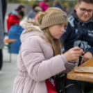 Traktoros ügyességi verseny
