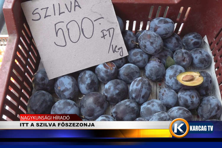 ITT A SZILVA FŐSZEZONJA