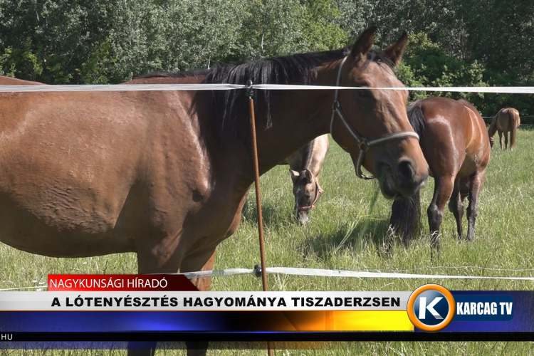 A LÓTENYÉSZTÉS HAGYOMÁNYA TISZADERZSEN