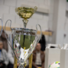 Kárpát Kupa labdarúgótorna