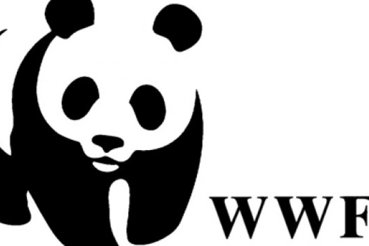 WWF: rengeteg a pazarlás az emberiség termelési és szállítási folyamataiban